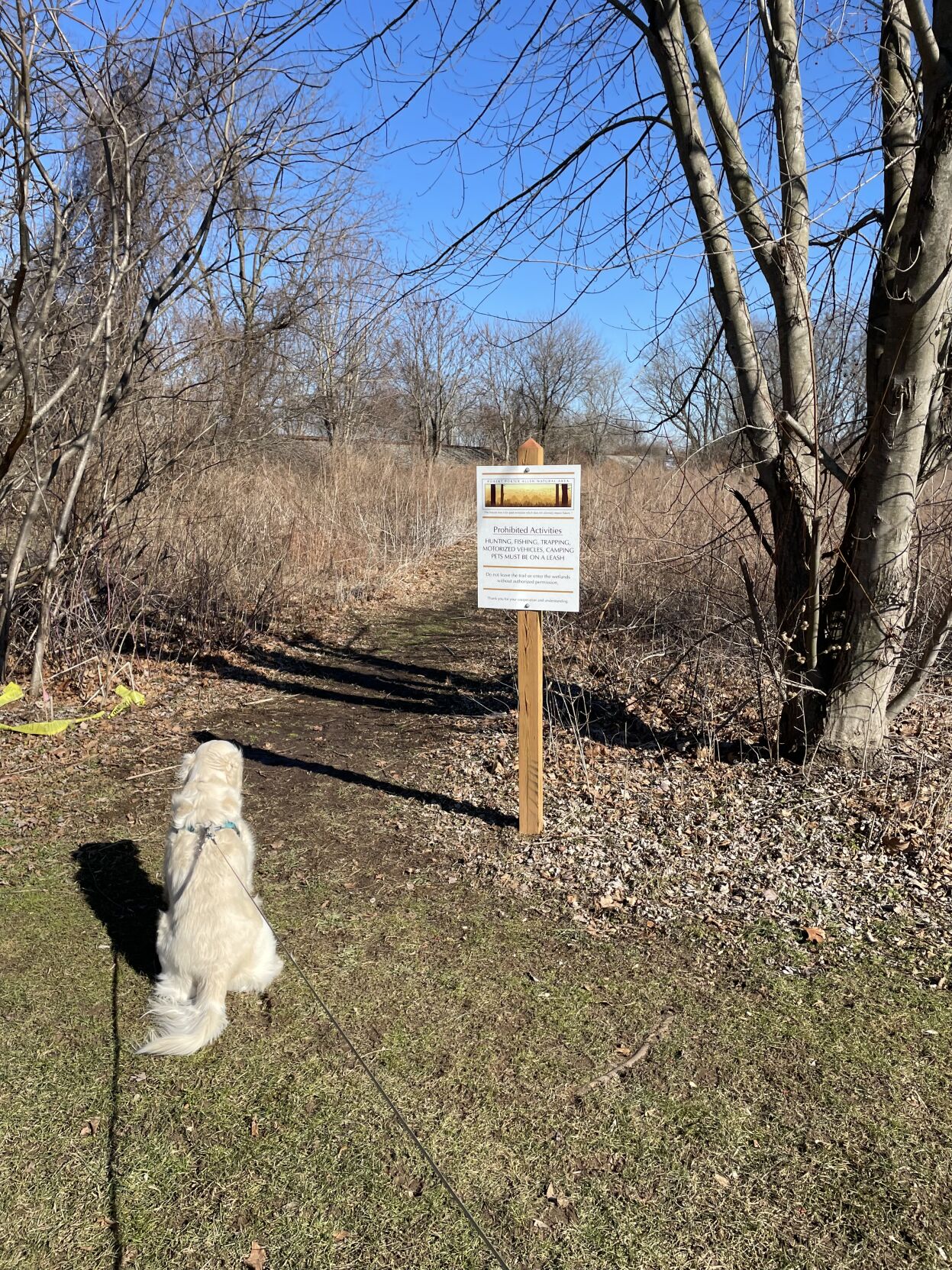 Robert Porter Allen Natural Area merges history, education, and recreation in South Williamsport