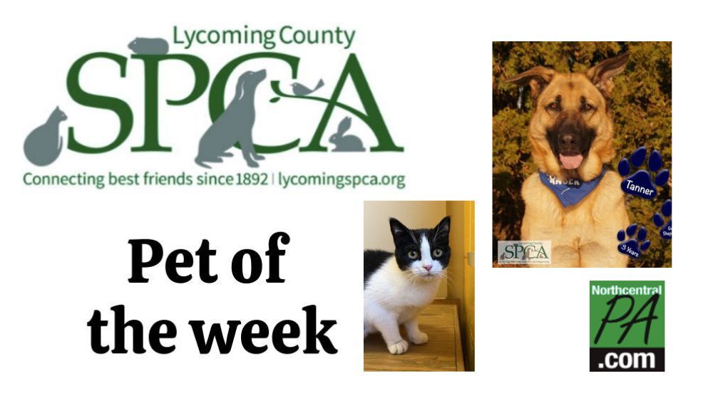 Spca canton hot sale