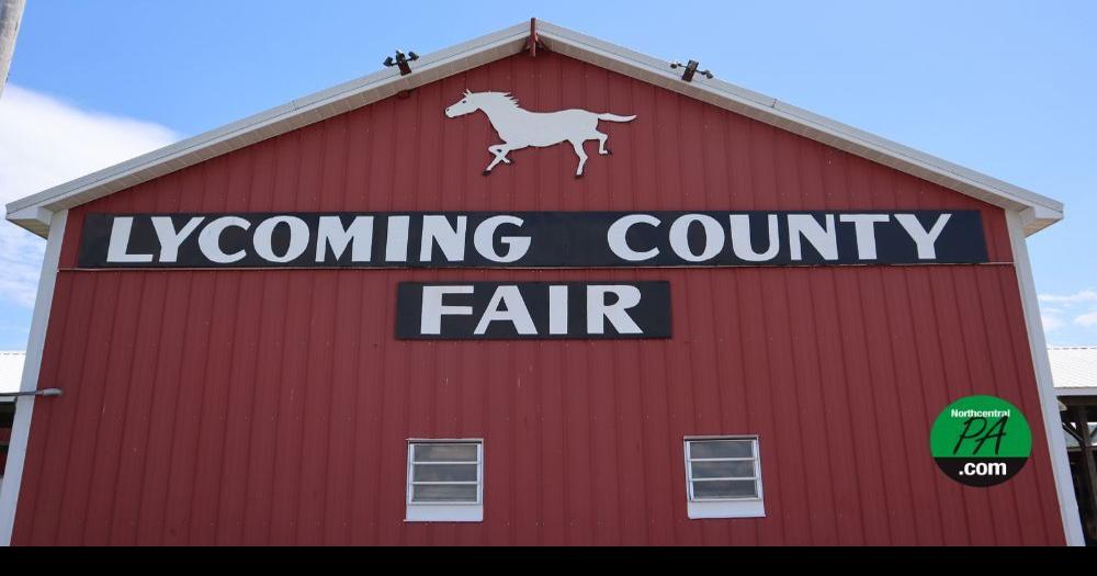 Fair new activities, events in 2024 Community