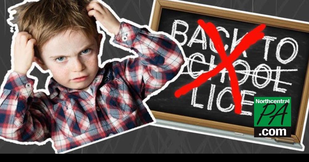 Back to school reminder Protect your kids from head lice Education