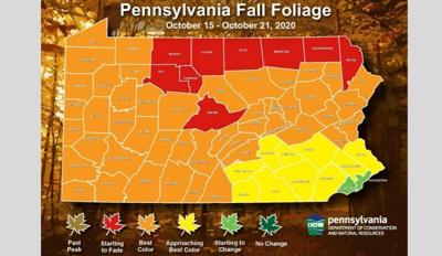 Dcnr Fall Foliage Report Most Of Pennsylvania Has Reached Its Peak Color Life Northcentralpa Com