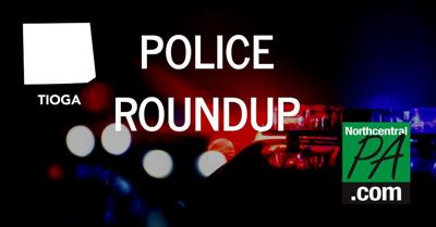 Tioga County police roundup graphic _ 2020