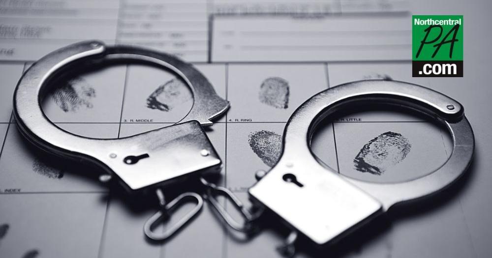 Woman confesses to hiding fugitive News northcentralpa com