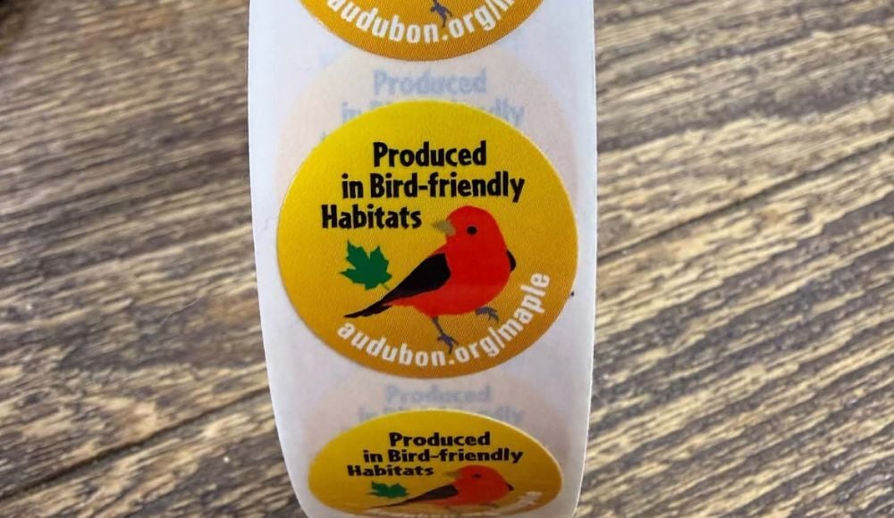 bird friendly maple stickers inline | | northcentralpa.com