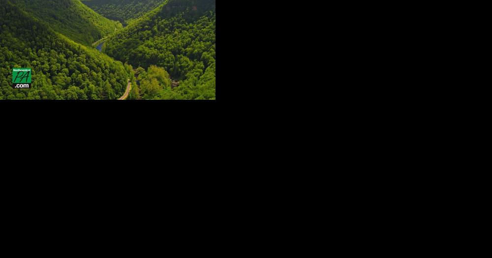 13 trails for your First Day Hike in Pennsylvania - Vimarsana News
