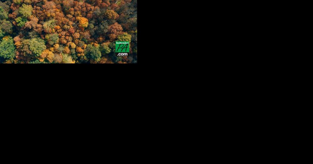 National poll selects one Pa. state park as nation's top fall foliage destination - Vimarsana News