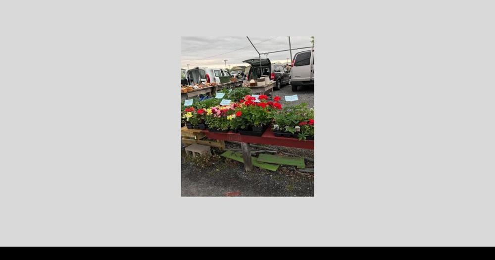 New Lewisburg flea market held on Sundays Life