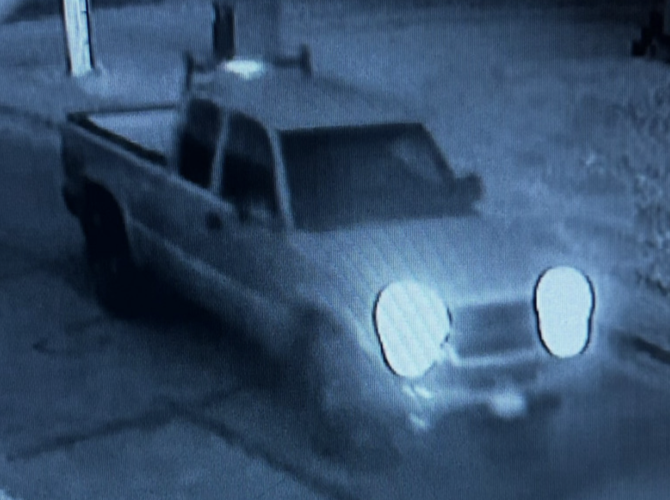 Police looking for suspect who threw dog from moving vehicle | News ...