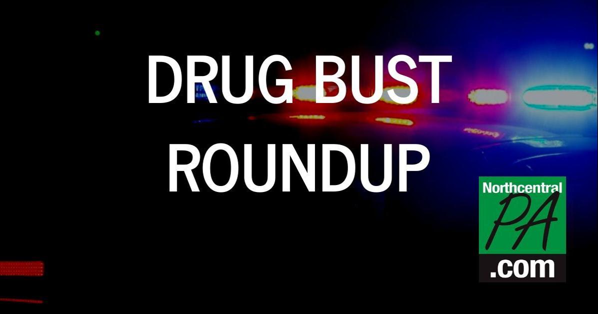 Drug bust in Clinton County, 29 people arrested Crime Reports