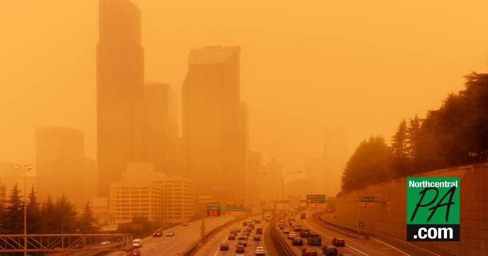 The U.S. needs better wildfires policies: report - Vimarsana News