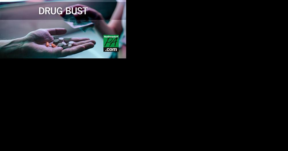Woman allegedly sold pills to confidential informant - Vimarsana News