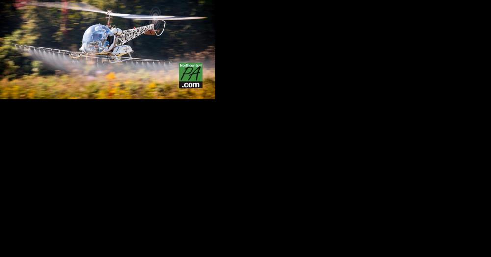 Pilot killed in helicopter crash - Vimarsana News