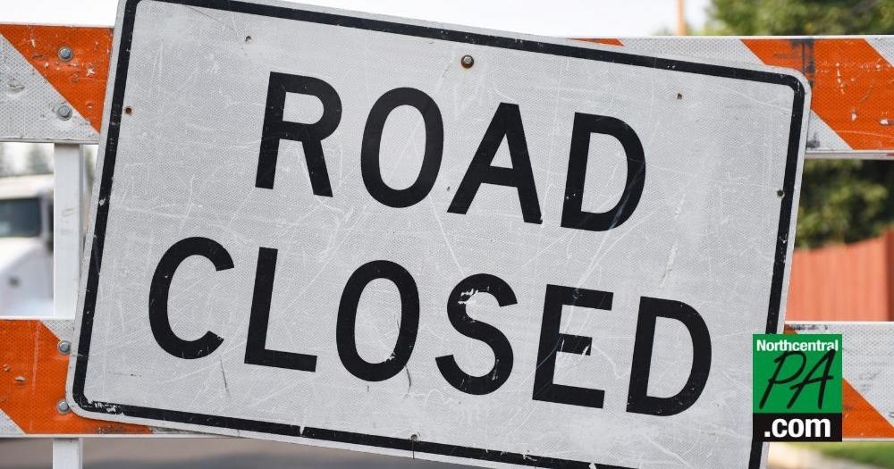 Downed tree closes Route 87 in Upper Fairfield Township, Lycoming County - Vimarsana News