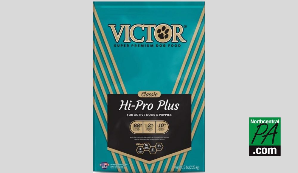 Victor hi pro 2024 plus for puppies