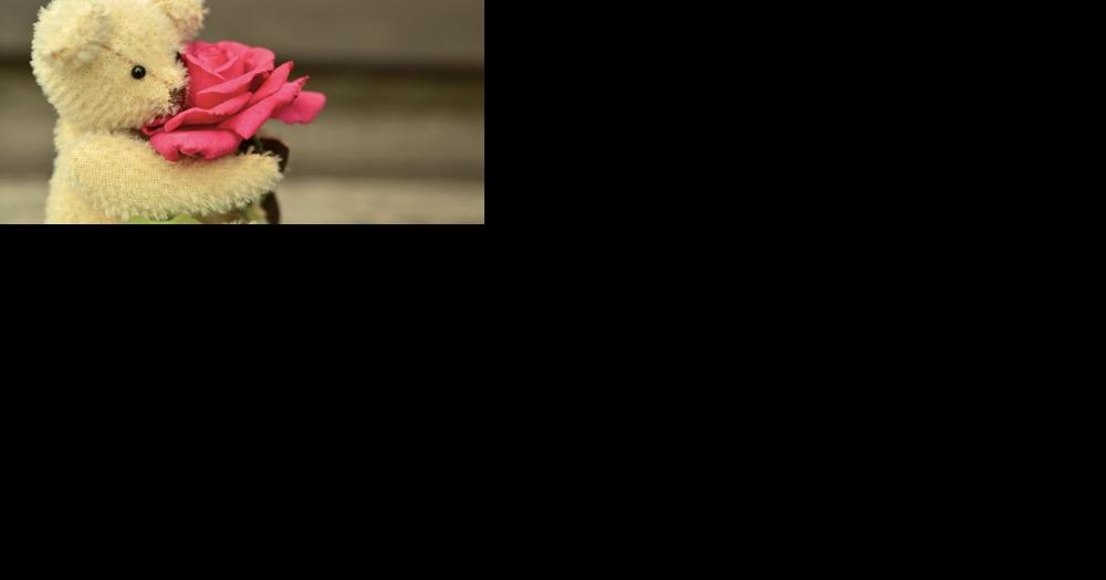 Paisley Lynn Shoemaker - Vimarsana News