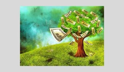 MoneyTree_graphic_2020.jpg