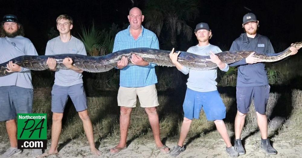 State College man captures 198 lb snake in Florida | News ...