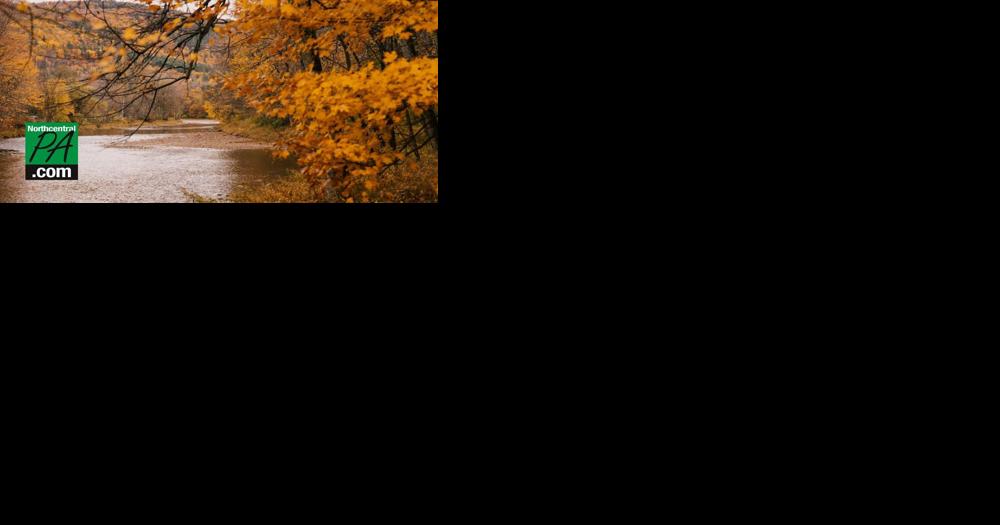 DCNR experts offer fall foliage tips - Vimarsana News