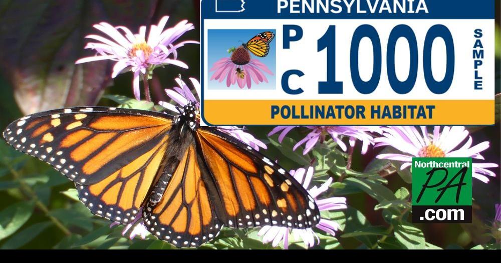 New 'Pollinator' license plates feature butterflies, bees, and