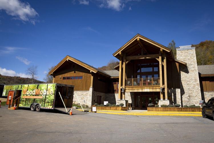 Twitter Board 1 billion board feet of state forest timber marked in Potter | News ...
