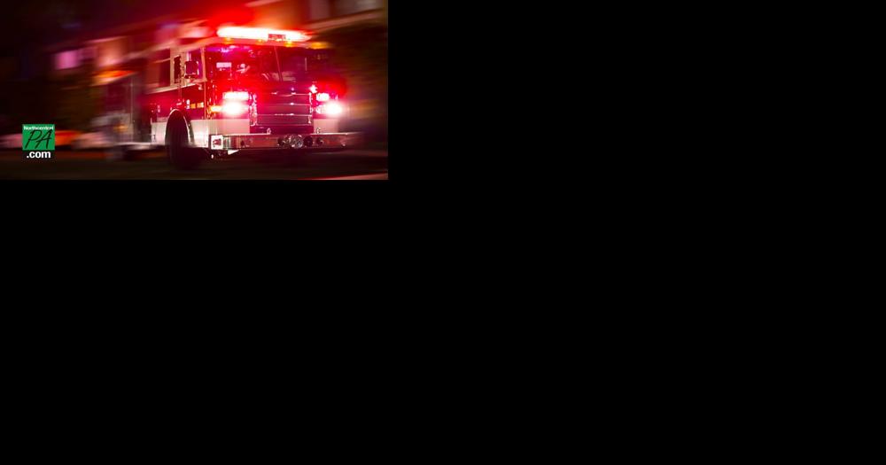 Pet pig causes house fire on New Years Eve - Vimarsana News
