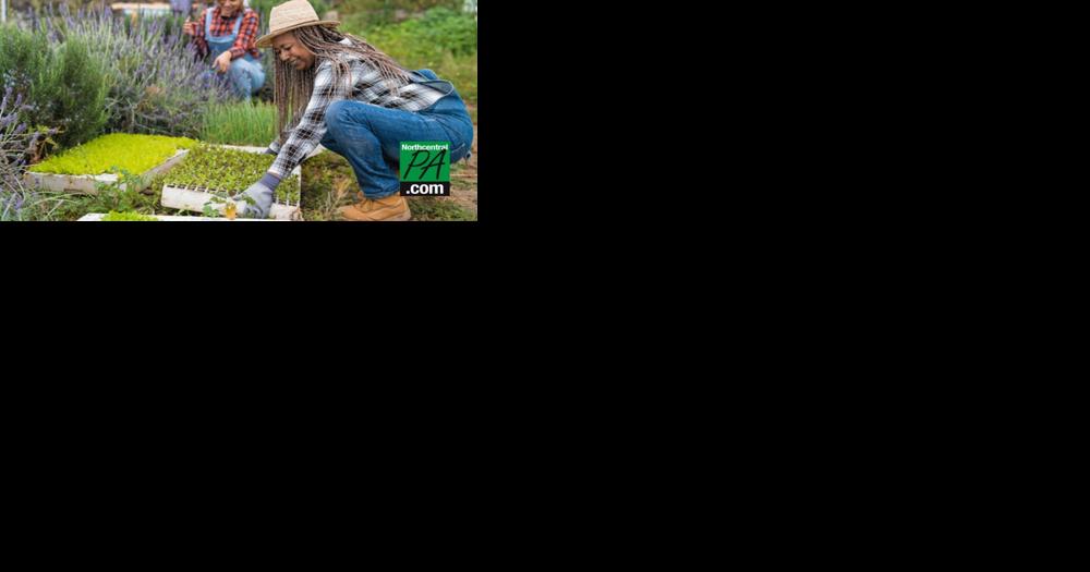 Young PA farmers urge Congress to help secure land access - Vimarsana News