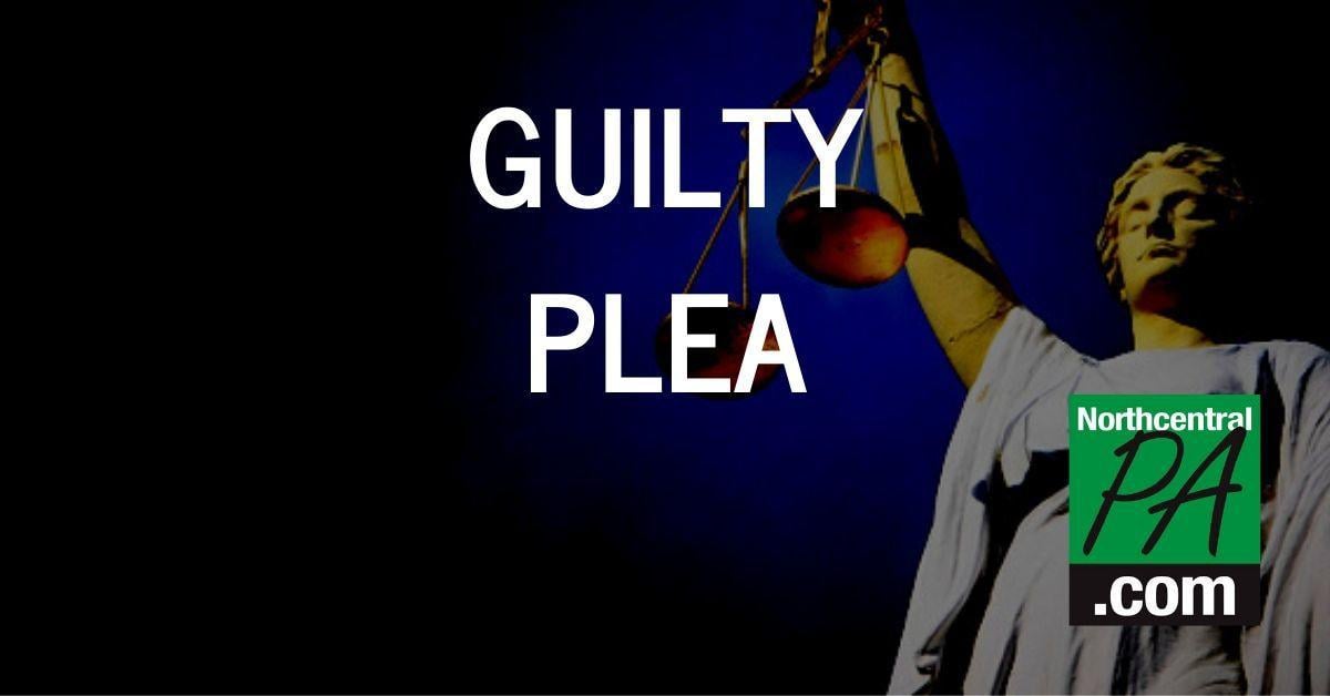 Williamsport Woman Pleads Guilty To Food Stamp Fraud News Northcentralpa Com