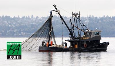 Fishing-boat.jpg