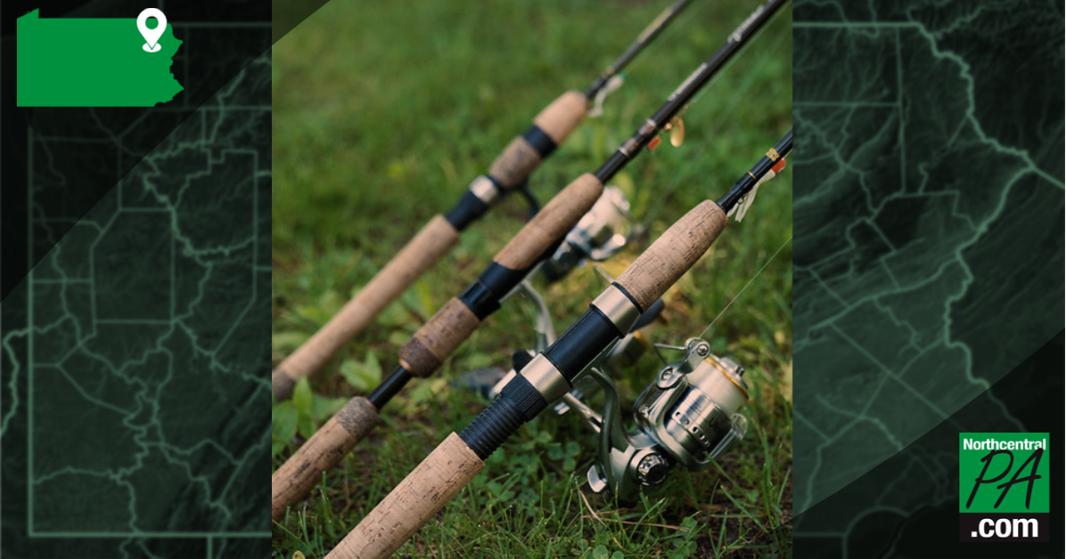 Missing Pennsylvania brothers found dead in reservoir with ...