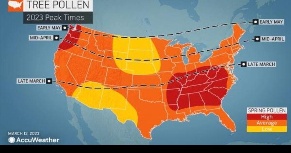 AccuWeather’s 2023 US spring allergy forecast Life