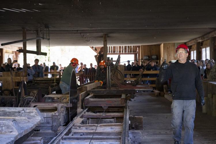 Twitter Board 1 billion board feet of state forest timber marked in Potter | News ...