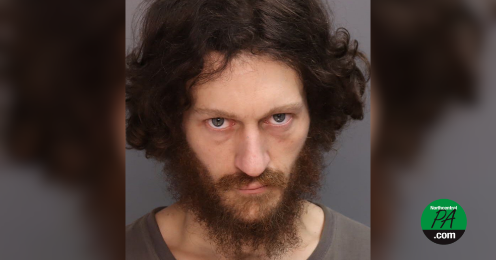Assault News Image