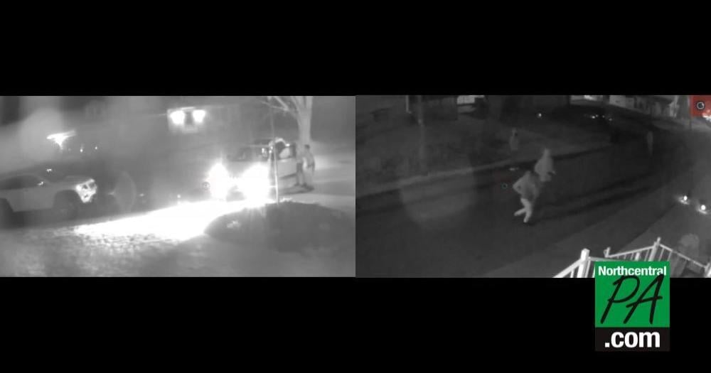 Police looking to identify car thieves caught on surveillance camera ...