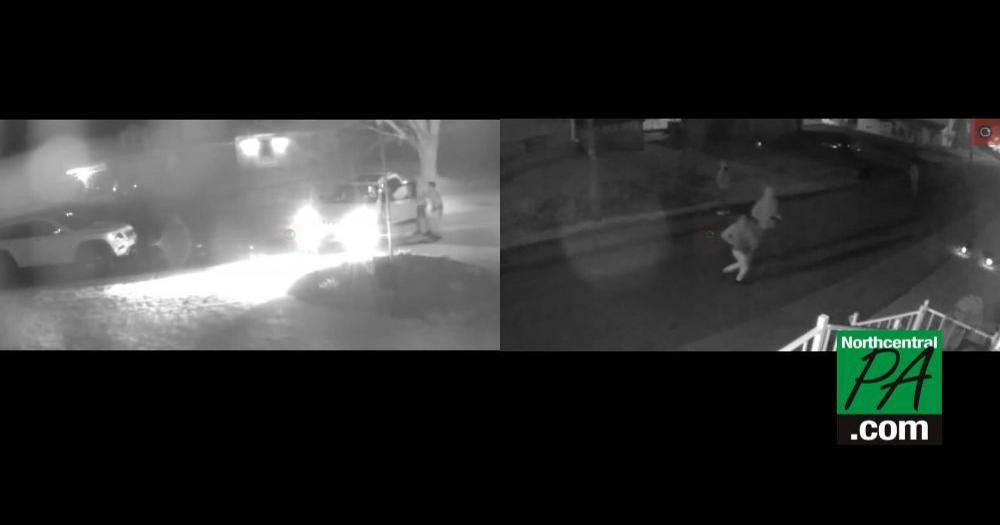 Police looking to identify car thieves caught on surveillance camera ...