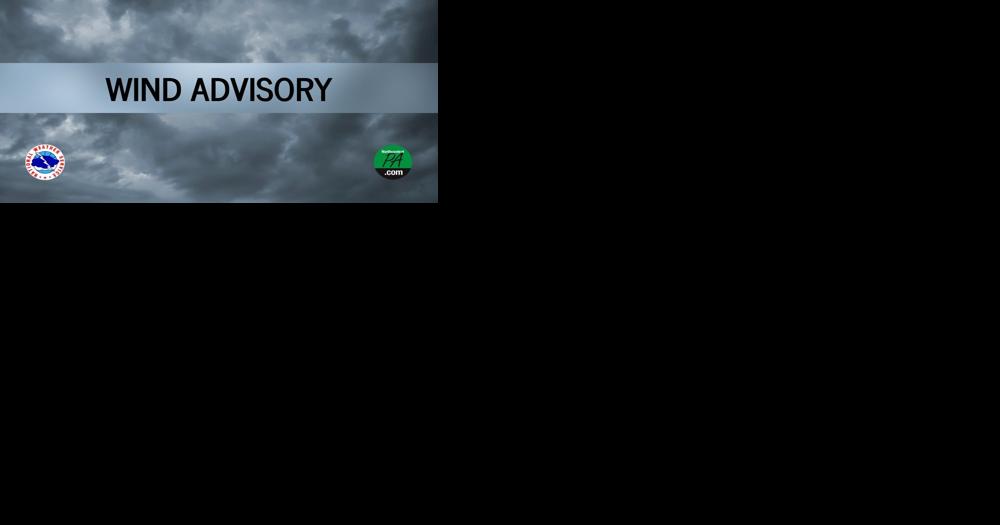 Wind advisory in effect for multiple counties in the region - Vimarsana News