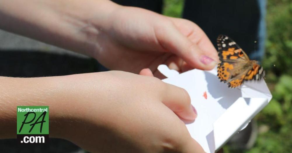 Butterfly release honors lost loved ones: Gallery - Vimarsana News