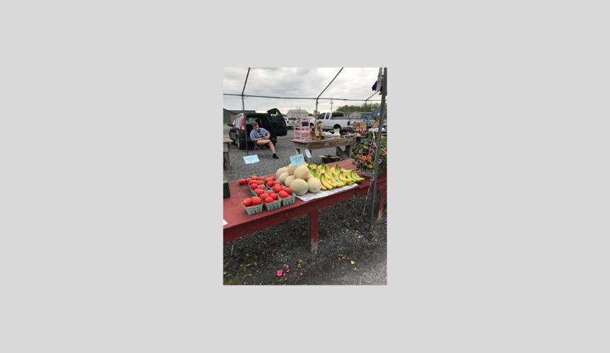 New Lewisburg flea market held on Sundays Life