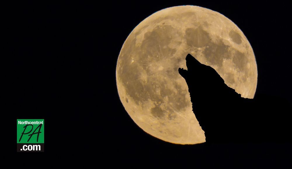 January Wolf Moon Spiritual Meaning 2024