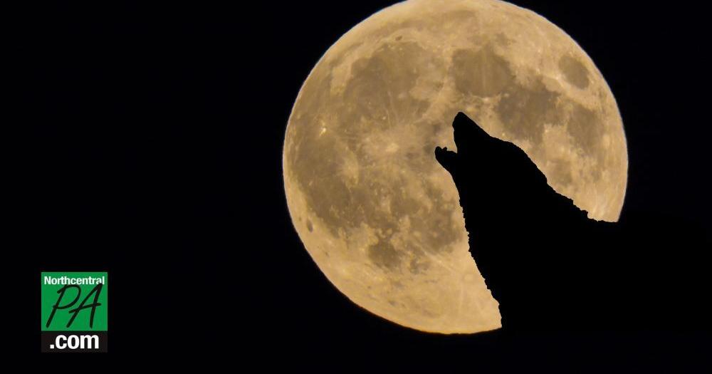 Wolf Moon 2025 The meaning behind January's moon and alternative names