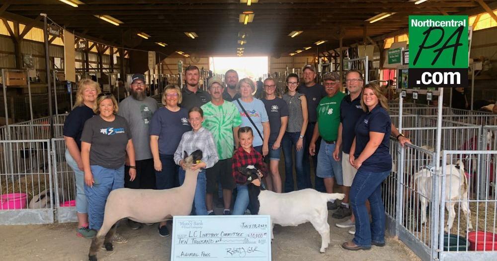 Muncy Bank donates $10K to build new livestock pens at Lycoming County Fair - Vimarsana News