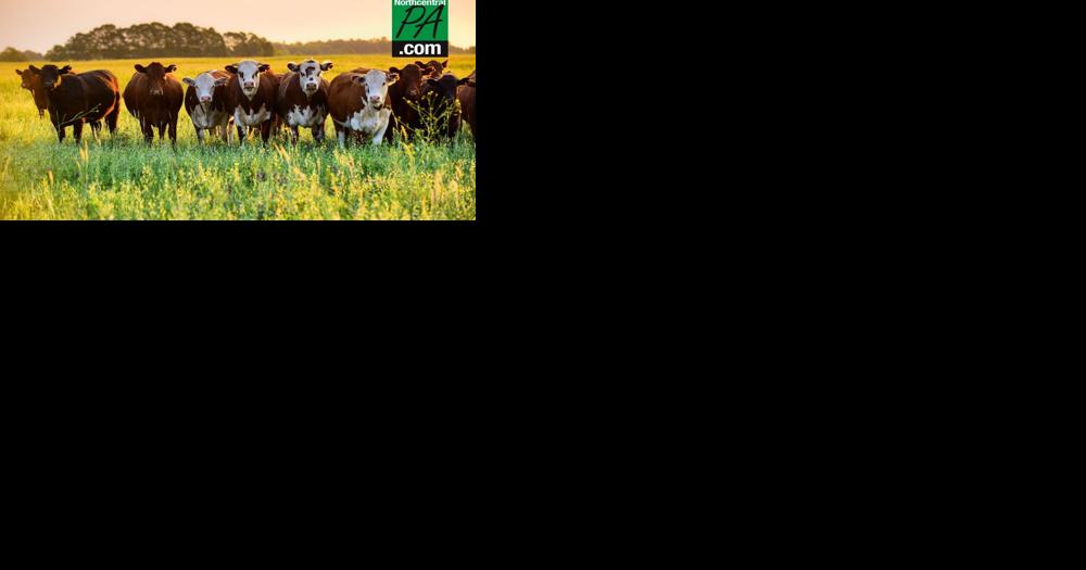 Local meat producers in PA rally against EATS Act - Vimarsana News