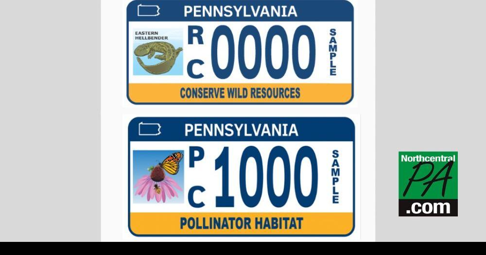 Eastern hellbender, pollinator habitat vehicle license plates now