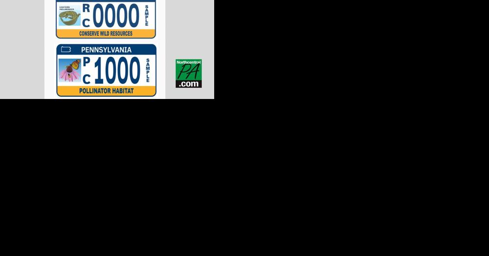 Eastern hellbender, pollinator habitat vehicle license plates now available from PennDOT - Vimarsana News