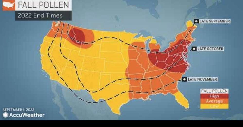 AccuWeather's 2022 US fall allergy forecast Life