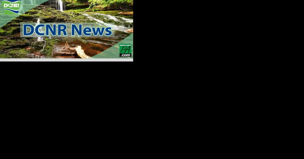 DCNR opens applications for NextGen Advisory Council - Vimarsana News