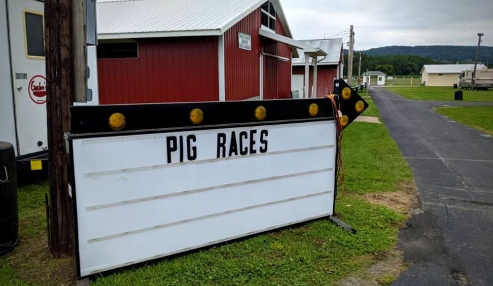 LycoFair_Pigraces_sign_CP_2021.jpg