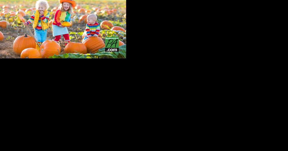 Rohrbach's to host fall festivities - Vimarsana News