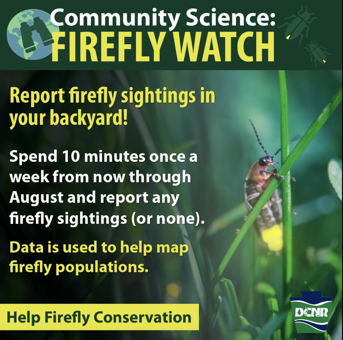 Firefly Watch Pro Community Science Training | North Shore Kid and Family  Fun in Massachusetts for North Shore Children, Families, Events, Activities  Calendar Resource Guide
