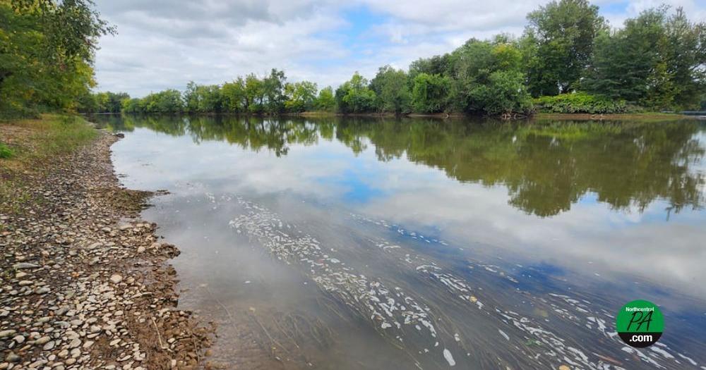 DEP: Temporary repair halts sewage release impacting Susquehanna River