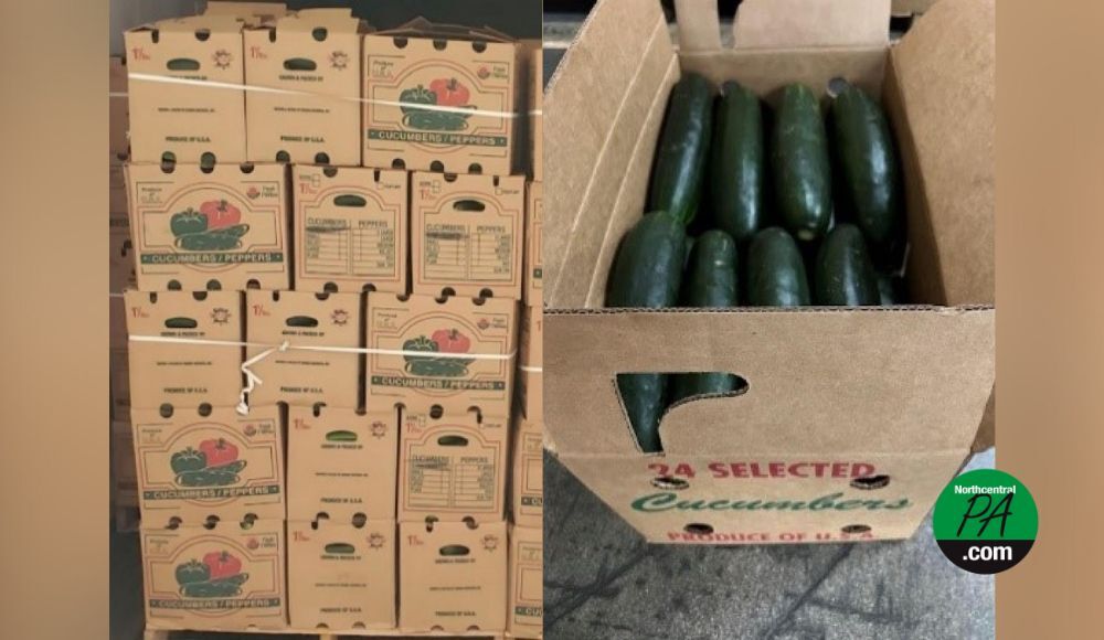 Fresh Start Produce Sales Recalls Cucumbers Due To Potential Salmonella ...